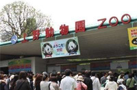 ��쓮����